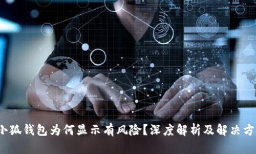  小狐錢包為何顯示有風險？深度解析及解決方案