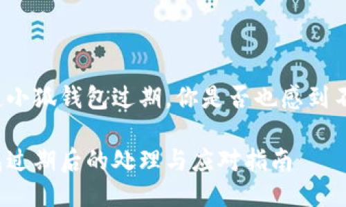 每當(dāng)提起小狐錢包過期，你是否也感到不知所措？

小狐錢包過期后的處理與應(yīng)對指南