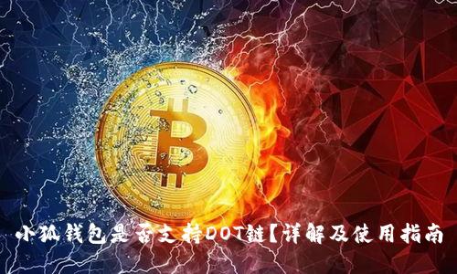 小狐錢包是否支持DOT鏈？詳解及使用指南