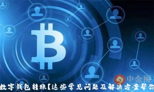 
沒有收到數(shù)字錢包轉(zhuǎn)賬？這些常見問題及解決方案幫你找回資金