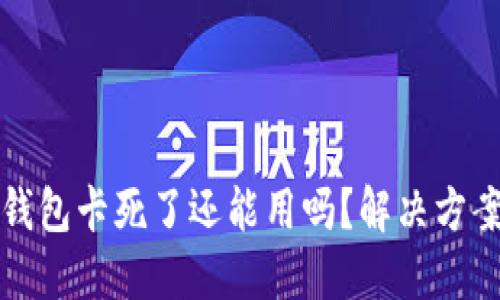 小狐錢包卡死了還能用嗎？解決方案詳解