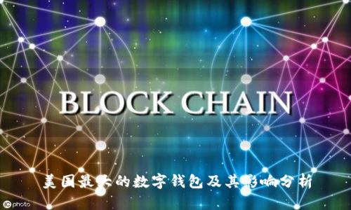 美國最大的數(shù)字錢包及其影響分析