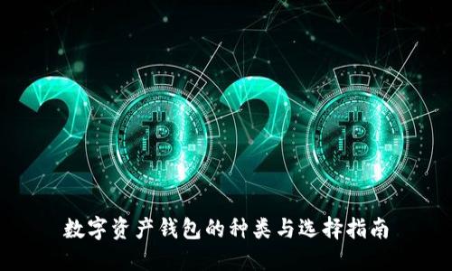 數(shù)字資產(chǎn)錢包的種類與選擇指南