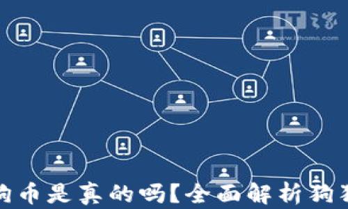 
小狐錢包存狗狗幣是真的嗎？全面解析狗狗幣存儲(chǔ)安全性