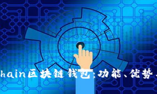 全面解析Chain區(qū)塊鏈錢包：功能、優(yōu)勢(shì)與應(yīng)用場(chǎng)景