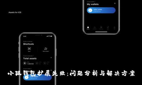 小狐錢包擴展失?。簡栴}分析與解決方案