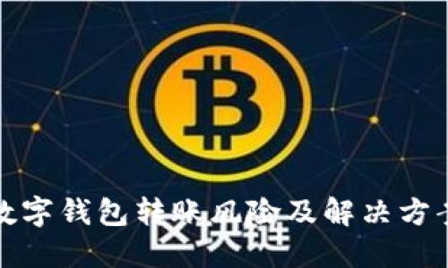 數(shù)字錢包轉(zhuǎn)賬風(fēng)險(xiǎn)及解決方案