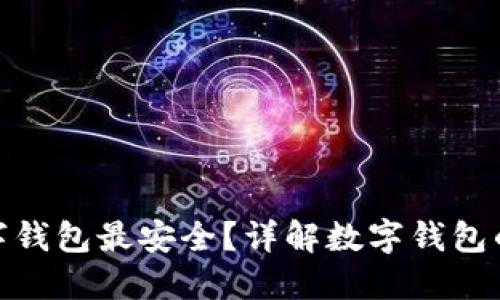 哪種數(shù)字錢包最安全？詳解數(shù)字錢包的安全性