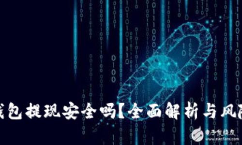 數(shù)字錢包提現(xiàn)安全嗎？全面解析與風(fēng)險(xiǎn)防控