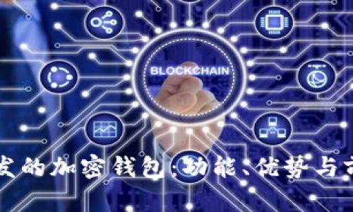 國內(nèi)開發(fā)的加密錢包：功能、優(yōu)勢(shì)與前景分析