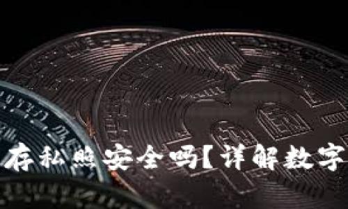 小狐錢包保存私照安全嗎？詳解數(shù)字資產(chǎn)安全性