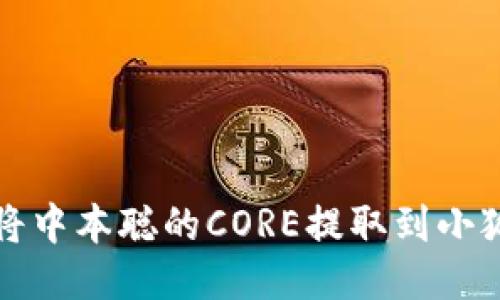 如何將中本聰的CORE提取到小狐錢包