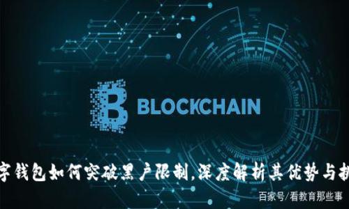 數(shù)字錢包如何突破黑戶限制，深度解析其優(yōu)勢與挑戰(zhàn)