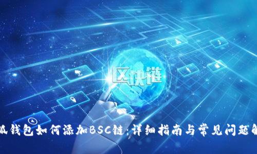 小狐錢包如何添加BSC鏈：詳細(xì)指南與常見問(wèn)題解答
