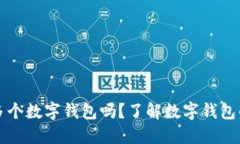 一人可以開(kāi)多個(gè)數(shù)字錢(qián)包