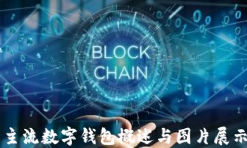 
主流數(shù)字錢包概述與圖片展示