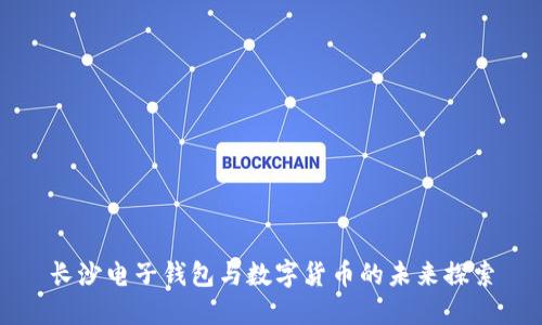 長沙電子錢包與數字貨幣的未來探索