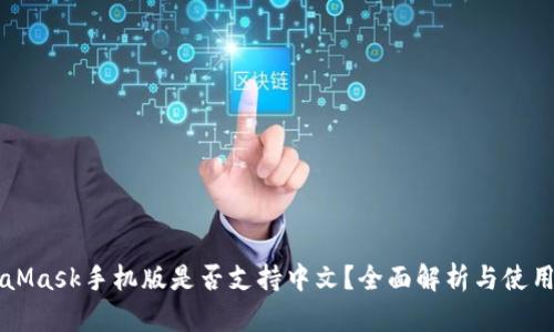 MetaMask手機版是否支持中文？全面解析與使用指南