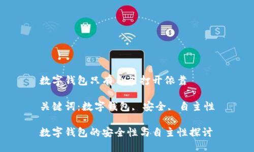 數(shù)字錢包只有自己打開(kāi)依靠

關(guān)鍵詞：數(shù)字錢包, 安全, 自主性

數(shù)字錢包的安全性與自主性探討