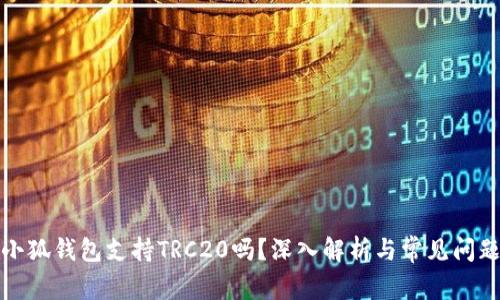 小狐錢包支持TRC20嗎？深入解析與常見問題