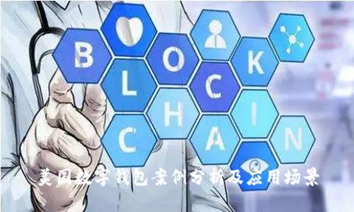 美國數(shù)字錢包案例分析及應(yīng)用場(chǎng)景