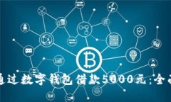 如何通過(guò)數(shù)字錢包借款5