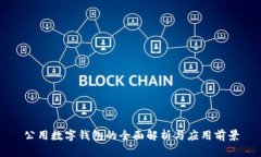 公用數(shù)字錢(qián)包的全面解析