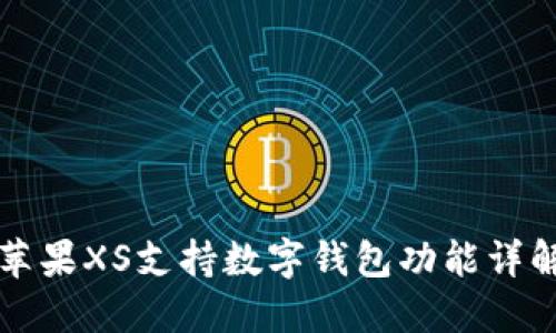 蘋(píng)果XS支持?jǐn)?shù)字錢(qián)包功能詳解