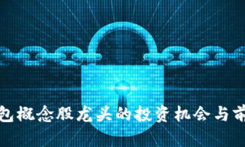 數(shù)字錢包概念股龍頭的投資機(jī)會(huì)與前景分析