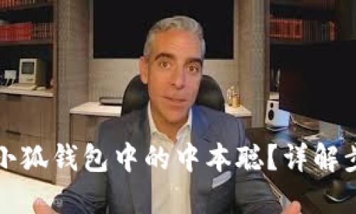 如何找回小狐錢包中的中本聰？詳解步驟與技巧