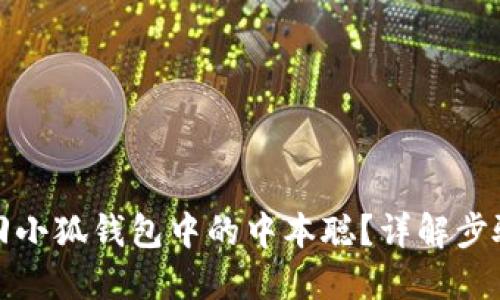 如何找回小狐錢包中的中本聰？詳解步驟與技巧