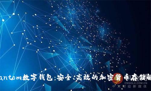 探索Phantom數(shù)字錢包：安全、高效的加密貨幣存儲(chǔ)解決方案