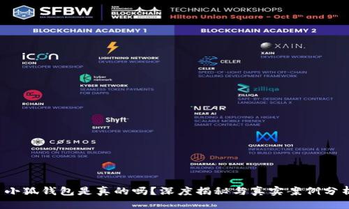  小狐錢包是真的嗎？深度揭秘與真實(shí)案例分析