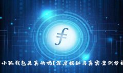  小狐錢包是真的嗎？深度