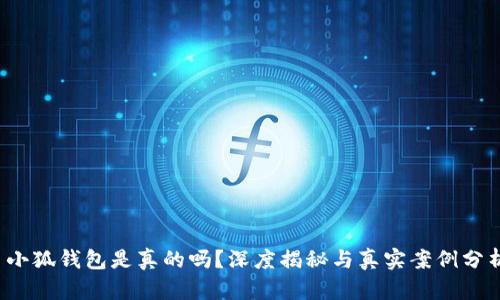  小狐錢包是真的嗎？深度揭秘與真實(shí)案例分析
