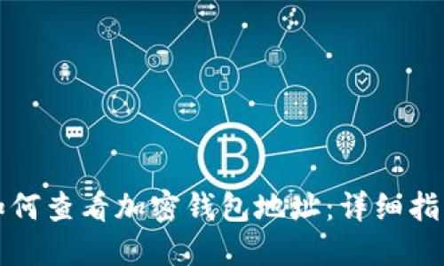 如何查看加密錢包地址：詳細(xì)指南