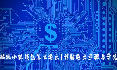 : 電腦玩小狐錢包怎么退出？詳解退出步驟與常見問題