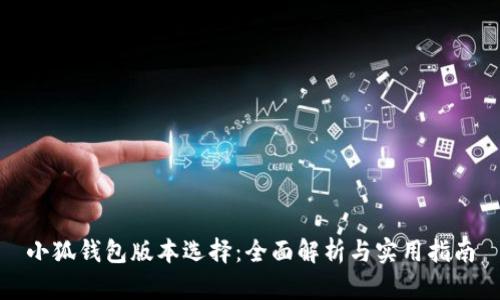 小狐錢包版本選擇：全面解析與實(shí)用指南