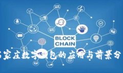 石家莊數(shù)字錢包的應用與