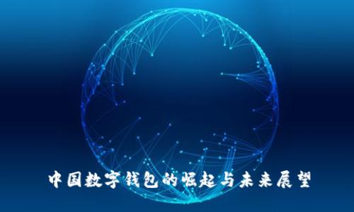中國(guó)數(shù)字錢(qián)包的崛起與未來(lái)展望