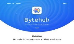 數(shù)字錢包儲存：安全性與