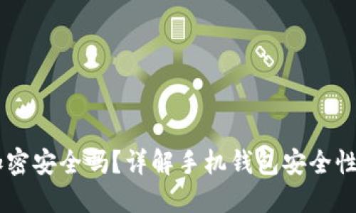 手機(jī)錢包加密安全嗎？詳解手機(jī)錢包安全性的方方面面