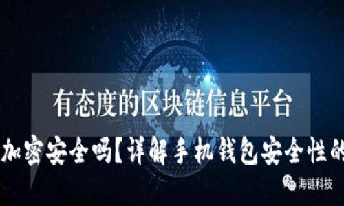 手機(jī)錢包加密安全嗎？詳解手機(jī)錢包安全性的方方面面