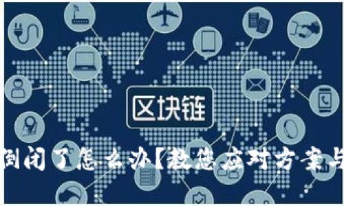 小狐錢包倒閉了怎么辦？教您應(yīng)對方案與投資建議
