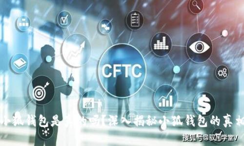 小狐錢(qián)包是真的嗎？深入揭秘小狐錢(qián)包的真相