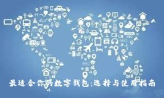 最適合你的數(shù)字錢包：選