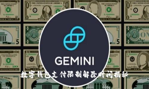 數(shù)字錢包支付限制解除時間揭秘