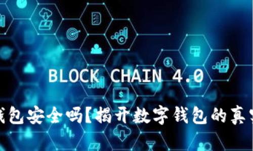 小狐錢包安全嗎？揭開數(shù)字錢包的真實(shí)面紗
