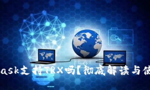 MetaMask支持TRX嗎？徹底解讀與使用指南