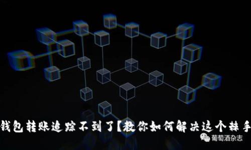 數(shù)字錢包轉(zhuǎn)賬追蹤不到了？教你如何解決這個棘手問題